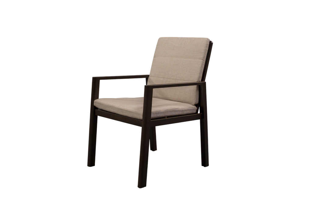 Venetia Dining Chair 2 Pack- Olefin